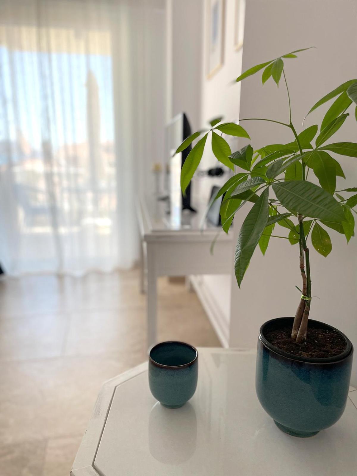 Odysseus Boutique Apartment Ermióni Eksteriør bilde